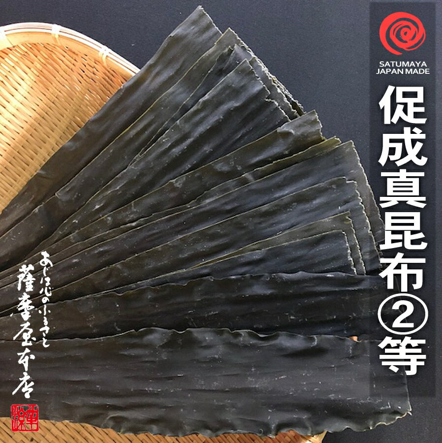 道南産 真昆布 2等 100g 促成 長切 北海道水産物検査協会検査物 函館 道南昆布 まこんぶ 北海道