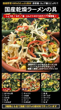 国産乾燥ラーメンの具 しょうゆ 1kg 送料無料 ミックス 即席 カップ 麺 乾麺 ラーメン 国産乾燥野菜シリーズ コーン わかめ ほうれん草 ねぎ たまねぎ みそ 汁 味噌 しお とんこつ 九州産 熊本県産 フリーズドライ ドライベジタブル 保存食 非常食 長期保存