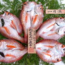 岡富商店「一日漁」のどぐろ一夜干し410g 冷凍便 送料無料(一部地域を除く) 干物 熨斗対応可 中元 歳暮
