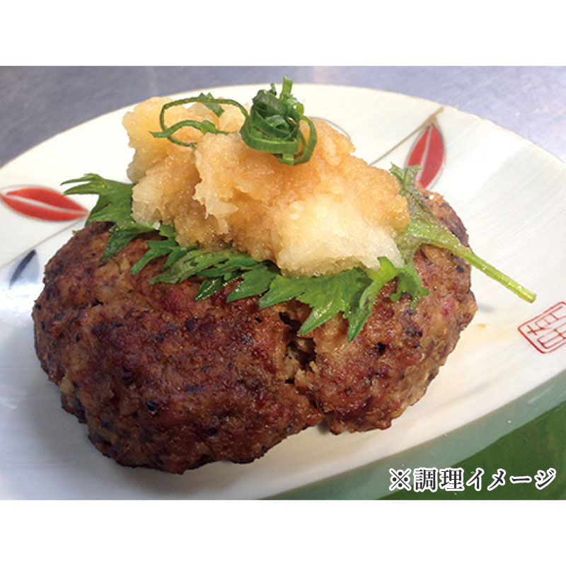 【熨斗対応可★】 [110g×10パック]焼き豚P オリーブ豚ハンバーグ 冷凍便 送料無料 ハンバーグ ギフト 歳暮 中元