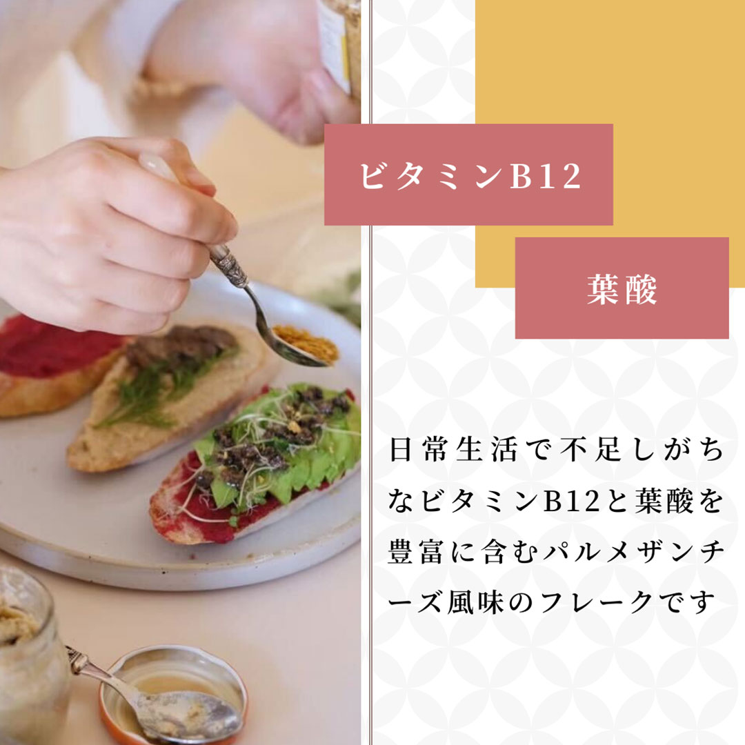 [2袋セット]東京バル EASY VEGAN 酒粕とナッツからできた植物性パルメザンチーズ風味(パウチ) 100g×2 送料無料