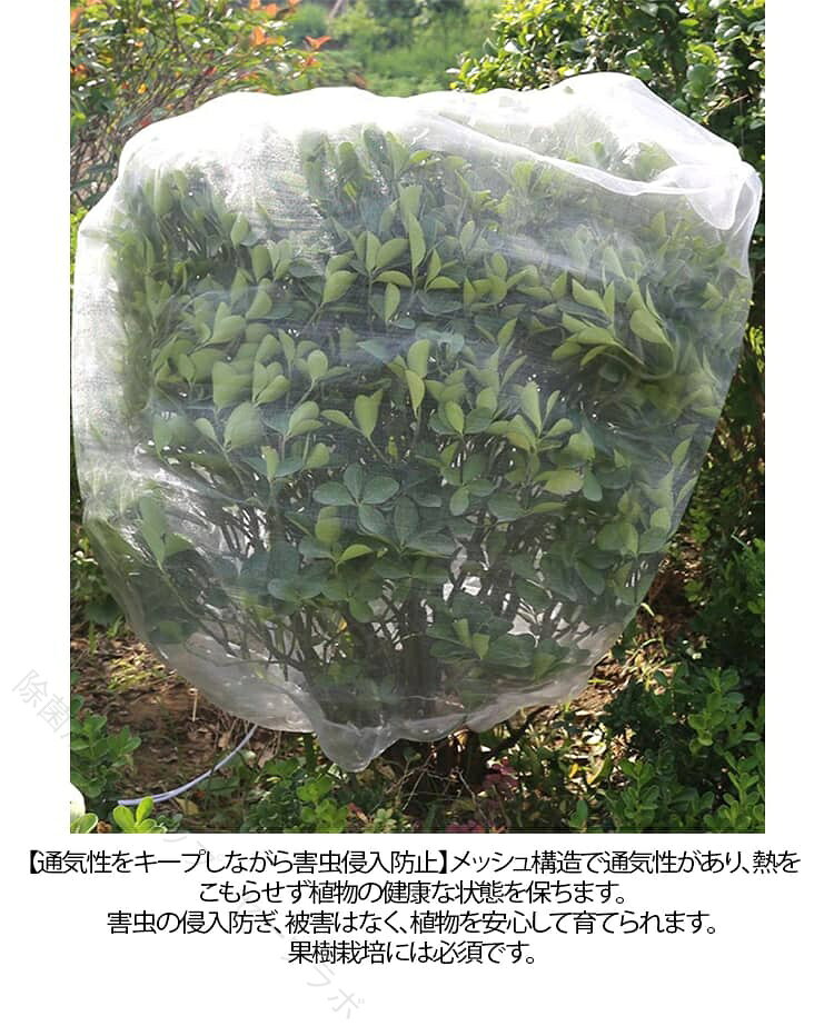 ファスナー式！ご家庭の果樹に1本づつすっぽりかぶせて防鳥、防虫に【高品質材質】丈夫で衝撃に強いだけでなく、耐熱、耐寒性に優れているPE素材を使用。【通気性をキープしながら害虫侵入防止】メッシュ構造で通気性があり、熱をこもらせず植物の健康な状態を保ちます。害虫の侵入防ぎ、被害はなく、植物を安心して育てられます。果樹栽培には必須です。【植物保護カバー】果樹栽培には必須！鳥、ウサギ、その他の虫による噛み付きから植物を保護します。恐ろしい天気から大切な花木を守ります。 透気生地は植物が窒息しているか、あるいは光合成を妨げることはありません。 花、野菜、観葉植物や鉢植えなどの植物に覆い。【装着簡単】ファスナー付きタイプなので、樹木に被せてファスナーを締めるだけの簡単取付け。トマトなどを支柱に固定する時やお手入れ簡単。 サイズ 幅1.8m*高1.8m 幅1.8m*高2.2m 幅2m*高2m 幅2m*高2.4m 幅2.4m*高2.4m サイズについての説明 幅1.8m*高1.8m幅1.8m*高2.2m幅2m*高2m幅2m*高2.4m幅2.4m*高2.4m 素材 ナイロン製 色 ファスナタイプ 備考 ●サイズ詳細等の測り方はスタッフ間で統一、徹底はしておりますが、実寸は商品によって若干の誤差(1cm〜3cm )がある場合がございますので、予めご了承ください。 ●製造ロットにより、細部形状の違いや、同色でも色味に多少の誤差が生じます。 ●パッケージは改良のため予告なく仕様を変更する場合があります。 ▼商品の色は、撮影時の光や、お客様のモニターの色具合などにより、実際の商品と異なる場合がございます。あらかじめ、ご了承ください。 ▼生地の特性上、やや匂いが強く感じられるものもございます。数日のご使用や陰干しなどで気になる匂いはほとんど感じられなくなります。 ▼同じ商品でも生産時期により形やサイズ、カラーに多少の誤差が生じる場合もございます。 ▼他店舗でも在庫を共有して販売をしている為、受注後欠品となる場合もございます。予め、ご了承お願い申し上げます。 ▼出荷前に全て検品を行っておりますが、万が一商品に不具合があった場合は、お問い合わせフォームまたはメールよりご連絡頂けます様お願い申し上げます。速やかに対応致しますのでご安心ください。 【原産国／製造国: 中国】 .果樹 虫よけ レモン 保護カバー 虫害 メッシュ ファスナー付 240x240cm 防虫網 ネット 果樹栽培 カバー 植物 防虫ネット 菜園 プランター 用 対策 保護袋 ブルーベリー きゅうり 枝豆 虫除け 家庭菜園 野菜栽培 送料無料 おすすめ 人気 ランキング。 指定された配送時間は承っておりません。【除菌消臭ショップ　セーブラボ】