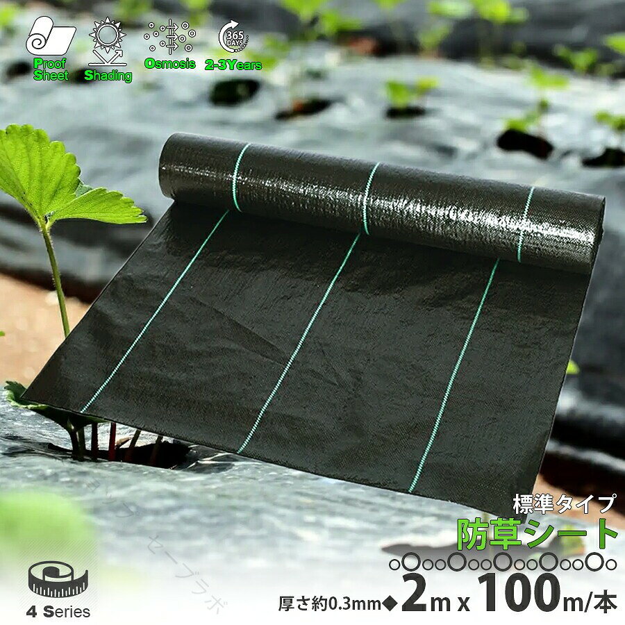 ◆◇◆商品詳細 -Product Info-◆◇◆・幅2m×長さ100mの防草シート。・雑草対策に圧倒的コスパ!!。・防草シートの高い遮光性により雑草の光合成を遮断。・除草剤などの物質を使用しないので安全・安心の雑草対策と言えます。・等間隔にラインが入っておりカットや敷く際に便利。・植えつけ前の一時的な防草、畝間、土手、休耕田、果樹園等、色々と使いやすい。・雑草の草むしりに毎年悩まされている方や農作物の成長に・コスパMAXの防草シートをオススメします。◆◇◆商品スペック -Product Spec-◆◇◆商品品番：LB-296サイズ：2m × 100m / 厚さ：約0.3mm素材：ポリプロピレン性能：防草・遮光・透水対応年数：約2〜3年生産国：中国◆◇◆商品の注意点 -Product Cautions-◆◇◆・防草シートは多年生雑草の株・根、ササ・スギナ等の地下茎を完全に取り除いてから敷設してください。・車両の通る場所に使用しないでください。・スギナ・チガヤなどの貫通力の強い植物については抑制効果は得られません。・サイズには多少の誤差が生じる場合がございます。・ご利用年数はあくまで目安でありご使用環境などにより異なります。・商品使用中の事故や怪我などは弊社は一切の責任を負いかねます。・ご使用のPCモニター環境・スマホの設定によって実物と画像の色味には差異がございます。・北海道、沖縄県、その他離島は別途送料が発生する場合がございます。・画像のように2mサイズの防草シートは折り畳んで1mサイズのロール状に梱包して発送しております。◆関連商品◆ -Related Product Information-1m x 50m・防草シートはコチラ2m x 50m・防草シートはコチラ0.5m x 50m・防草シートはコチラ Uピン杭・15cm/100本セットはコチラUピン杭・20cm/100本セットはコチラ Uピン杭・30cm/100本セットはコチラ ◆◇◆商品詳細 Item Info◆◇◆雑草対策に圧倒的コスパ!!防草シートの高い遮光性により雑草の光合成を遮断。除草剤などの物質を使用しないので安全・安心の雑草対策と言えます。雑草の草むしりに毎年悩まされている方や農作物の成長に・コスパMAXの防草シートをオススメします。等間隔にラインが入っておりカットや敷く際に便利!植えつけ前の一時的な防草、畝間、土手、休耕田、果樹園等、色々と使いやすい!◆◇◆商品スペック◆◇◆【サイズ】：2m × 100m / 厚さ：約0.3mm【材質】：ポリプロピレン【性能】：防草・遮光・透水【対応年数】：約2〜3年◆◇◆注意事項◆◇◆※画像で説明しているとおり2mサイズの防草シートは折り畳んで1mサイズのロール状に梱包して発送しております。※ご確認されずに返送された場合は往復分の送料を差し引いた返金となりますのでご注意下さい。※防草シートは多年生雑草の株・根、ササ・スギナ等の地下茎を完全に取り除いてから敷設してください。※車両の通る場所に使用しないでください。※ロール状でお届けする商品はシートを畳んでから巻いてあるものがございます。商品サイズは広げてご確認ください。※スギナ・チガヤなどの貫通力の強い植物については抑制効果は得られません。【購入前に必ずお読みください】※サイズには多少の誤差が生じる可能性があります。※モニター発色の具合により、実物とは色合いが異なる場合がございます。※品質向上の為に細かい仕様は予告なく変更になる場合がございます。※製品の仕様上汚れ・輸入時のダメージ等がついている場合がございます。※ご利用年数はあくまで目安でありご使用環境・使用用途などにより異なります。※商品使用中の事故や怪我などは弊社は一切の責任を負いかねます。 .防草シート、黒シート、農用シート、草よけシート、除草シート、雑草防止シート、雑草抑制、庭、畑、田んぼ、ハウス、砂利下、人工芝下、家庭菜園、園芸、DIY、ガーデニング、ライン入り、厚さ0.3mm、2m×100m、LB-296、区分100S。おすすめ、人気、ランキング、セール対策に。。 指定された配送時間は承っておりません。【除菌消臭ショップ　セーブラボ】