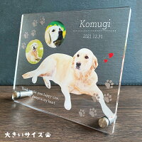 ペット フォトプレート【肉球】 大きいサイズ 犬 猫 愛犬 愛猫 ペット メモリアル ...