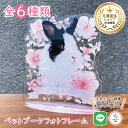 ペット ブーケフォトフレーム【ピンクフローラ】犬 猫 愛犬 愛猫 メモリアル 花 ブーケ メモリアルグッズ グッズ 写真 お悔やみ お悔み 贈り物 ペットグッズ...