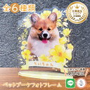 ペット ブーケフォトフレーム【イエローフローラ】犬 猫 愛犬 愛猫 メモリアル 花 ブーケ メモリアルグッズ グッズ 写真 お悔やみ お悔み 贈り物 ペットグッ...