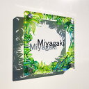 【アクリル表札/グリーン】表札 アクリル 新築 戸建 新築祝い 引っ越し祝い 開店祝い 開業祝い 看板 アクリル看板 デザイン リゾート ハワイ 植物 職人 手作り 日本製 国産 表札 ネームプレート ショップサイン ビーチ サーフィン おしゃれ バリ 南国 綺麗 透明感 送料無料