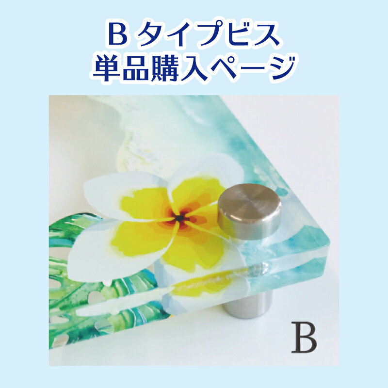 樂天商城 - Bタイプビス　単品