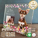 ペット フォトプレート【チューリップ】 大きいサイズ 犬 猫 愛犬 愛猫 ペット メモリアル メモリアルグッズ グッズ 写真 お悔やみ お悔み 贈り物 ペットグッズ かわいい オーダーメイド オリジナル 遺影 仏具 位牌 ペット供養 記念 記念品 誕生日 写真立て フォト 思い出