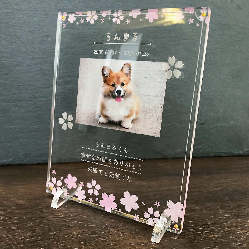 楽天Savoia（サボイア）楽天市場店ペット メモリアル フォトプレート 【桜】 犬 猫 愛犬 愛猫 ペット メモリアルグッズ グッズ 写真 かわいい オーダーメイド オリジナル 遺影 仏具 位牌 ペット供養 記念 記念品 誕生日 写真立て 写真 文字入り フォト 思い出 アクリルスタンド 手元供養