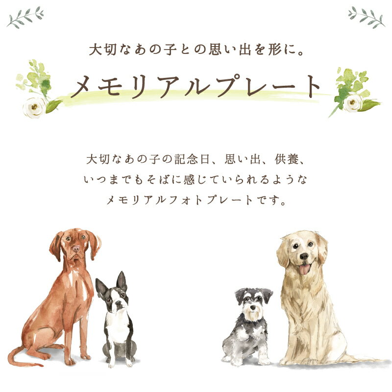 ペット フォトプレート【スター】 大きいサイズ 犬 猫 愛犬 愛猫 ペット メモリアル メモリアルグッズ ピンク ブルー グッズ 写真 ペットグッズ かわいい ひまわり オーダーメイド オリジナル 遺影 仏具 位牌 ペット供養 記念 誕生日 写真立て 写真 フォト 思い出 2