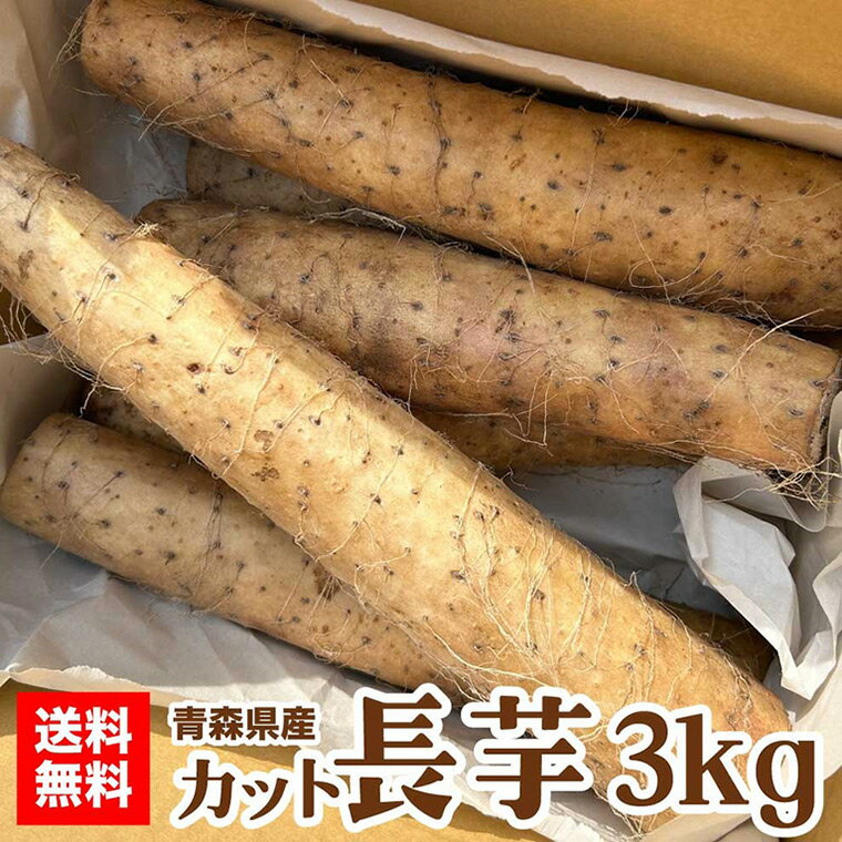 青森県産 長芋 カット 訳あり 3kg 6～8本 沢田ファーム 自家栽培のサムネイル