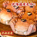 最高級の北海道産毛ガニ 毛蟹【送料無料】内容量:約500gカニ 北海道 旬の幸 お中元やお歳暮、暑中見舞いにも