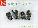 つけものDIY 古漬けきゅうり 50g×4袋セット 自宅でできる漬物づくり体験 国産 塩漬け 胡瓜  ...