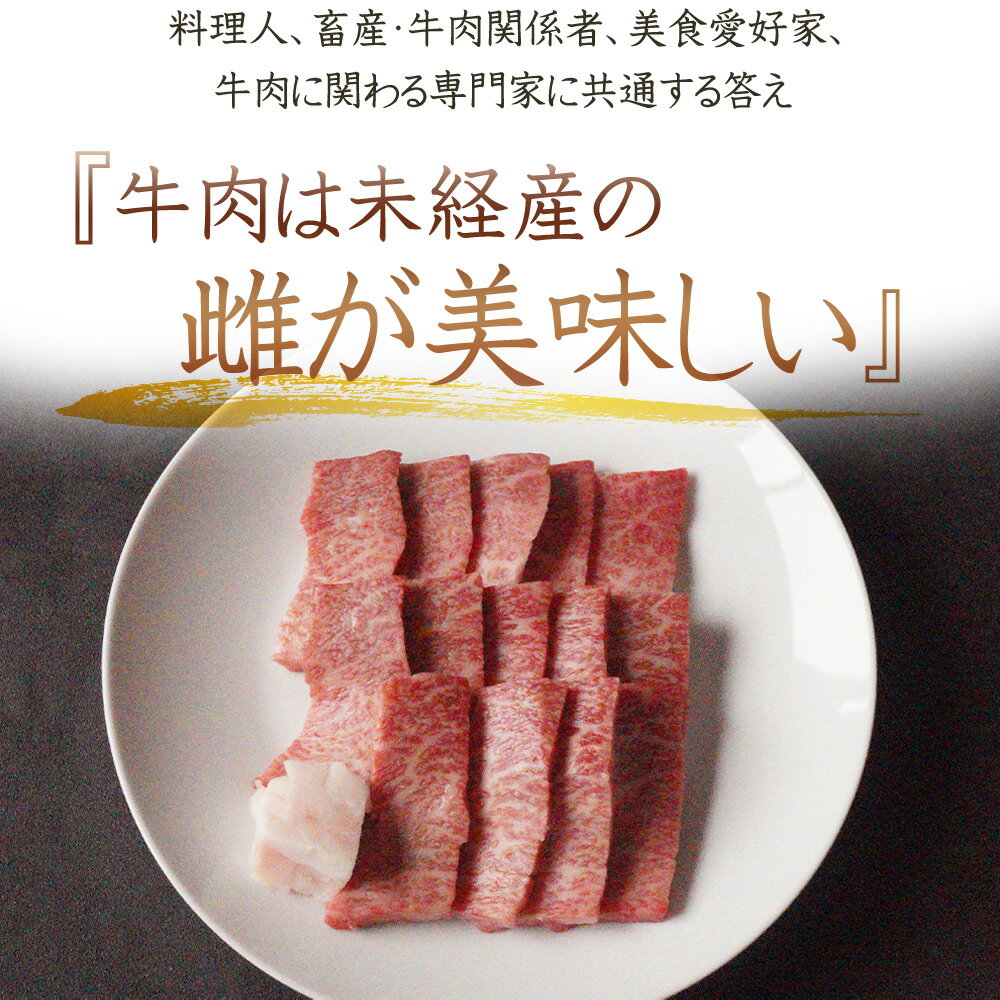 近江牛 【澤井姫和牛】霜降り ロース 肩ロース ウデ モモ バラ 500g 焼肉 特選 BBQ ギフト 贈り物 プレゼント 送料無料 肉 メス牛限定 黒毛和牛 誕生日 祝い 雌 バーベキュー キャンプ　父の日