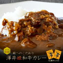近江牛 【澤井姫和牛使用】 澤井姫和牛カレー 200g×2袋 保存食 非常食 簡単 手軽 レトルト 温めるだけ 困ったときに 常温保存 時短 ギフト 贈り物 プ...