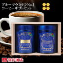 澤井珈琲 【GW最大ポイント10倍】 コーヒーギフト コーヒー ギフト ブルーマウンテン ブルマン 家族 プレゼント おしゃれ かわいい 高級 実用的 コーヒー豆 珈琲 珈琲豆 ブルーマウンテンNo.1ギフトセット キャニスター ギフトセット 内祝い お返し プレゼント