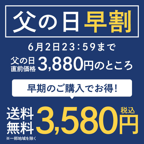 父の日 早割 ギフト プレゼント コーヒーギフト 2024 花 おしゃれ かわいい アイスコーヒー 珈琲ギフト 高級 実用的 珈琲 無糖 プレミアムアイスコーヒー500ml 2本セット 同梱不可 贈答品 飲み物 お中元 2