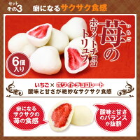 【澤井珈琲】送料無料 コーヒー専門店のパティシエこだわりのスイーツ福袋(フォンダンショコラ/カタラーナ/苺のホワイトチョコトリュフ)