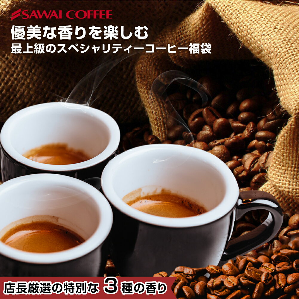 焙煎したて コーヒー豆 600g 珈琲豆 送料無料 スペシャリティー コーヒー 福袋 お試し 200g×3袋 中挽き/豆のまま コ…