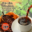 焙煎したて コーヒー豆 600g 珈琲豆 送料無料 スペシャリティーコーヒー 福袋 お試し 200gx3袋 中挽き/豆のまま コーヒー専門店 60杯分 飲み比べ セット ブラジルダ テーラ エメラルドマウンテン エーデルワイス 澤井珈琲