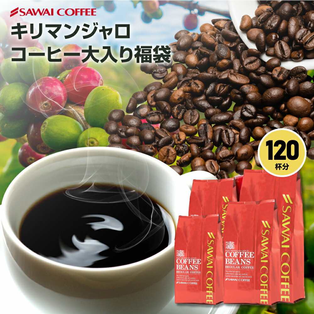 焙煎したて コーヒー豆 コーヒー 1.2kg 珈琲 珈琲豆 お試し コーヒー粉 粉 キリマンジャロコーヒー 豆 キリマンジャ…