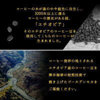 全品ポイント19倍!! 最大2,500円クーポン 【澤井珈琲】送料無料 コーヒー専門店の100杯分入 ゴールデンモカコーヒー福袋(コーヒー/コーヒー豆/珈琲豆) コーヒー豆全単品半額 楽天スーパーSALE