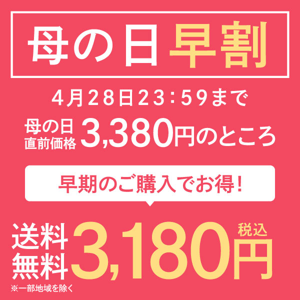 【4/28迄 早割 】 母の日 2024 コーヒー プレゼント 花 ギフト おしゃれ かわいい アイスコーヒー 高級 実用的 珈琲 無糖 ※同梱不可 贅沢なプレミアムアイスコーヒー500ml 2本セット