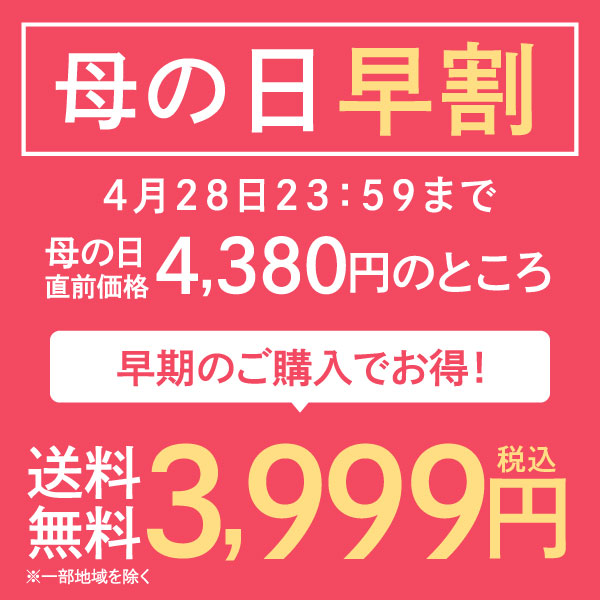 【4/28迄 早割 】 母の日 コーヒーギフト コーヒー ギフト プレゼント 実用的 高級 風呂敷包み おしゃれ かわいい アイスコーヒー 珈琲 無糖 ※同梱不可 贅沢なプレミアムアイスコーヒー500ml 4本セット コーヒーセット ギフトセット 内祝い お返し プレゼント