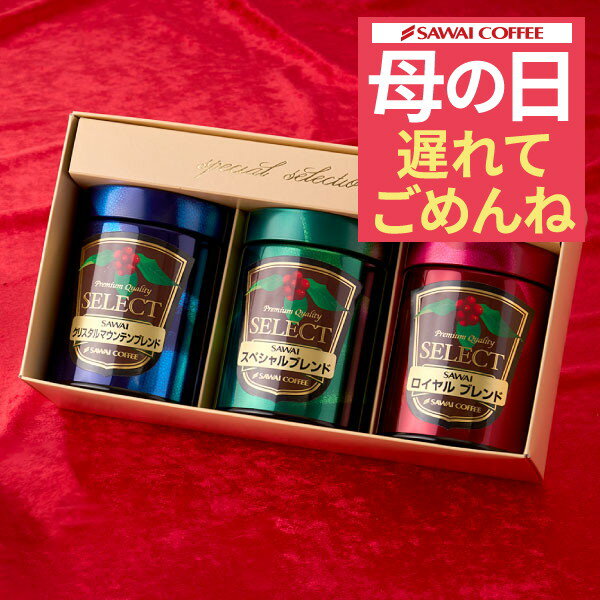 澤井珈琲 【最短当日出荷】 遅れてごめんね 母の日 ギフト プレゼント コーヒーギフト 2024 コーヒー豆 ギフト セット 詰め合わせ 贈り物 レギュラーコーヒー 粉 豆 専門店のプレミアム 100g 3缶 ギフトセット 内祝い お返し 贈答品 飲み物 父の日ギフト ポイントアップ