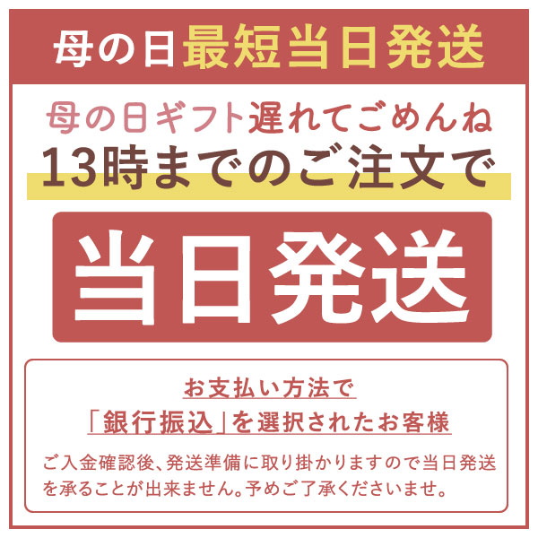 【最短当日出荷】 遅れてごめんね 母の日 ギフト プレゼント コーヒーギフト 2024 珈琲ギフト 実用的 高級 風呂敷包み おしゃれ かわいい アイスコーヒー 珈琲 無糖 ギフトセット 内祝い お返し プレゼント 同梱不可 贈答品 飲み物 父の日ギフト ポイントアップ 2