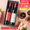 【最短当日出荷 遅れてごめん 母の日ギフト】 送料無料 お母さん感謝状付き母の日ギフト2025 選べる プレミアムアイスコーヒーギフト 500ml 2本 カフェ...