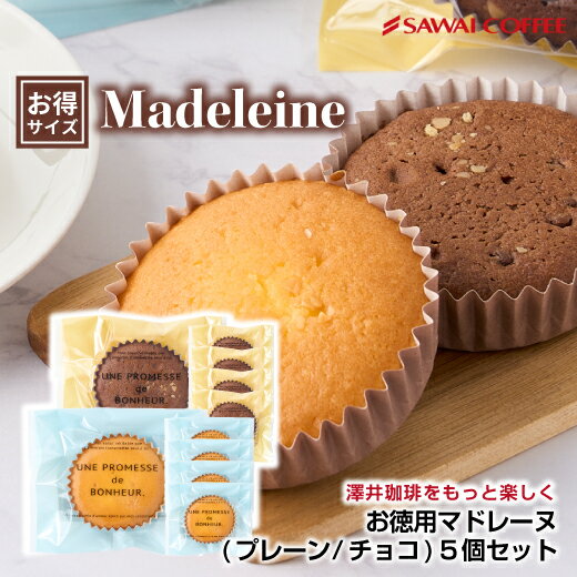 マドレーヌ 【スーパーSALE 最大P19倍】 お菓子 洋菓子 スイーツ ギフト コーヒーに合う コーヒーのお供 澤井珈琲 マドレーヌ 5個 プチギフト プレゼント シンプル バター しっとり ふわふわ 女性 チョコ プレーン 澤井スイーツ