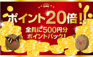 全品ポイント19倍!! 最大2,500円クーポン 【ショップ・オブ・ザ・イヤー2016 11年連続そしてジャンル大賞3年連続受賞記念 】ありがとう! 最高級の香り福袋 送料無料【ポイント20倍】 コーヒー豆全単品半額 楽天スーパーSALE