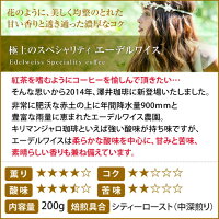 【ほぼ全品ポイント10倍!! 最大2,500円クーポン】 送料無料!! コーヒー 豆 コーヒー豆 福袋 珈琲豆 珈琲 コーヒー福袋 コーヒー豆福袋 本当に美味しいスペシャリティー福袋 第5弾!! 600g 澤井珈琲 楽天お買い物マラソン