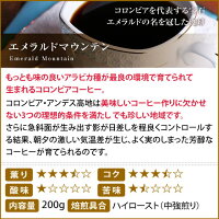 【ほぼ全品ポイント10倍!! 最大2,500円クーポン】 送料無料!! コーヒー 豆 コーヒー豆 福袋 珈琲豆 珈琲 コーヒー福袋 コーヒー豆福袋 本当に美味しいスペシャリティー福袋 第5弾!! 600g 澤井珈琲 楽天お買い物マラソン