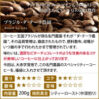 【ほぼ全品ポイント10倍!! 最大2,500円クーポン】 送料無料!! コーヒー 豆 コーヒー豆 福袋 珈琲豆 珈琲 コーヒー福袋 コーヒー豆福袋 本当に美味しいスペシャリティー福袋 第5弾!! 600g 澤井珈琲 楽天お買い物マラソン