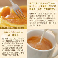 【ほぼ全品ポイント10倍!! 最大2,500円クーポン】 コーヒー専門店のパテシエ手作り手作り焼きチーズケーキセット 楽天お買い物マラソン