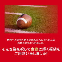 【全品ポイント10倍!10月16日(水)9:59まで】【澤井珈琲】ポイント20倍 送料無料 コーヒー専門店の 感動をありがとう 200杯分 超大入福袋(珈琲豆/プレミアムゴールドブレンド/ビクトリーブレンド)【キャッシュレス5%還元】