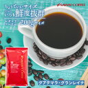 1000円ポッキリ 焙煎したて コーヒー豆 200g 珈琲豆 送料無料 コーヒー 福袋 200gx1袋 中挽き/豆のまま コーヒー専門店 20杯分 飲み比べ セット メール便 お試し ちょうどいいサイズの サスティナブルなコーヒー SDGs エシカル グアテマラ グランレイナ