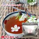 おしゃれ ティータイム 初めての紅茶 お試し ほんわりと優しい香り漂うさくらの紅茶 ティーバッグ 15袋入り 桜の紅茶 春限定 ティーパック 澤井珈琲 【RDT】 【TSDT】
