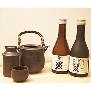 日本酒 ギフト プレゼント 燗酒ことはじめセット300ml×
