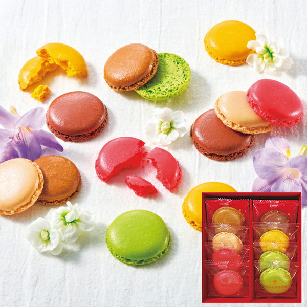 ダロワイヨ マカロンラスク 8枚 MRU8 【_