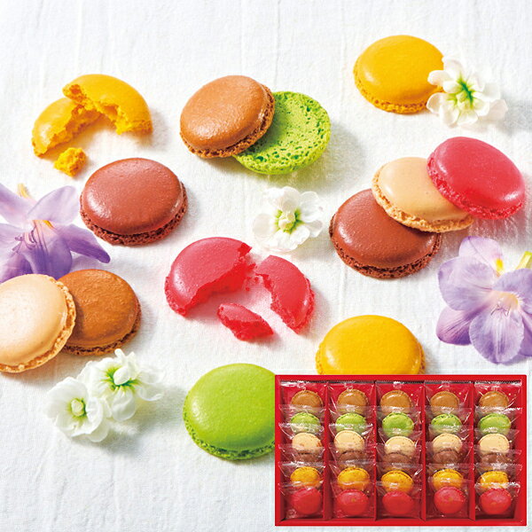 ダロワイヨ マカロンラスク 30枚 MRU30 【_