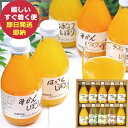 伊藤農園 果汁100% ピュアジュース＆ドリンクセット V-032 みかん ジュース オレンジ (あす楽) 送料無料(北海道・沖縄を除く)【のし包装可】_