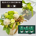 プリザーブドフラワー + スターバックス オリガミ コーヒーセット フラワーポッド (グリーン) (即日発送) 送料無料(北海道・沖縄を除く) 【_ HAREPB_(4)