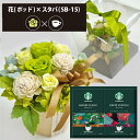 プリザーブドフラワー + スターバックス オリガミ コーヒーセット フラワーポッド (グリーン) (即日発送) 送料無料(北海道・沖縄を除く) 【_ HAREP...