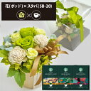 プリザーブドフラワー + スターバックス オリガミ コーヒーセット フラワーポッド (グリーン) (即日発送) 送料無料(北海道・沖縄を除く) 【_ HAREP...