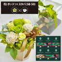 プリザーブドフラワー + スターバックス オリガミ コーヒーセット フラワーポッド (グリーン) (即日発送) 送料無料(北海道・沖縄を除く) 【_ HAREP...