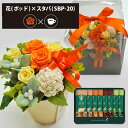プリザーブドフラワー + スターバックス プレミアムミックス コーヒーセット フラワーポッド (オレンジ) 送料無料(北海道・沖縄を除く) 【_ HAREPB_